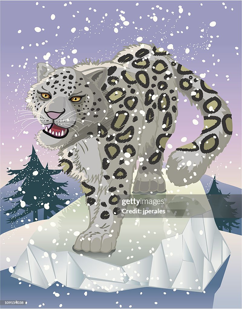 Snow leopard