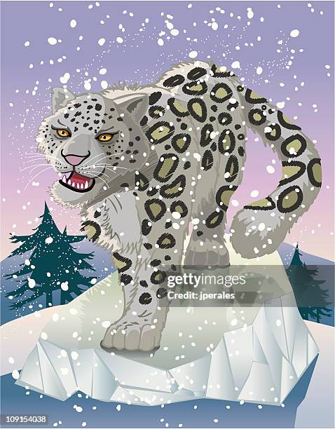 snow leopard - snow leopard print stock illustrations