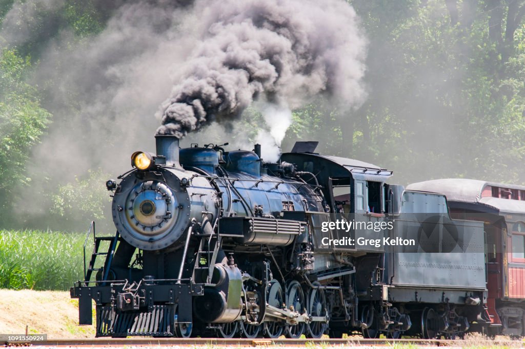 Steam Passenger Train Pulling into Picnic