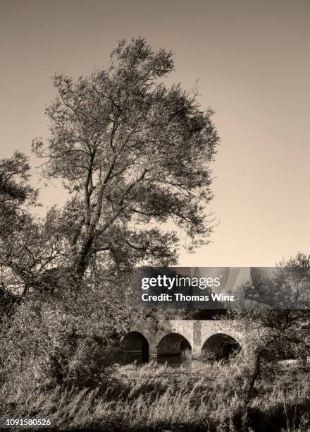 Stackallan Thomas Boyne Photos and Premium High Res Pictures - Getty Images
