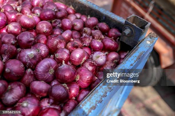 Onions sit in a trailor tractor at the Agriculture Produce Market Committee wholesale market in Lasalgaon, Maharshtra, India, on Wednesday, Jan 23,...