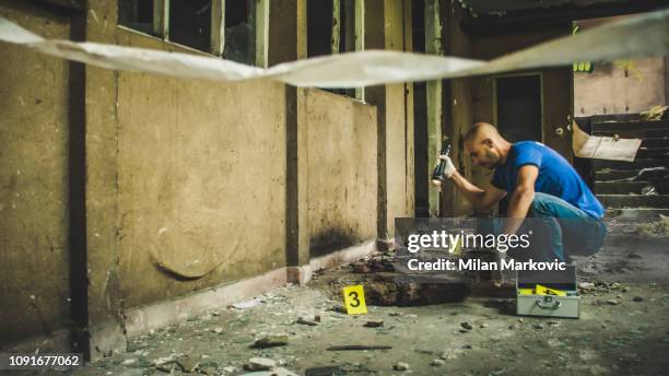 forensic science - crime scene - forest crime scene stock pictures, royalty-free photos & images