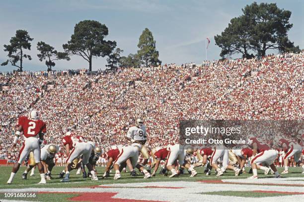 Tony Rice, Quarterback for the Notre Dame Fighting Irish calls the play on the line of scrimmage during the NCAA Independent college football game...