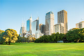Sydney city high rise buildings and botanic gardens.
