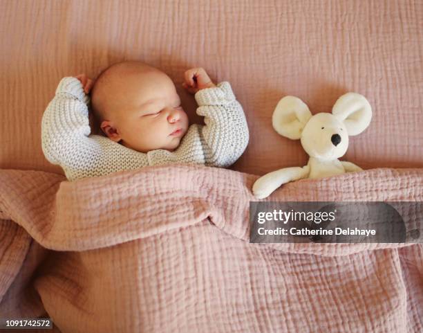 a newborn sleeping with his cuddly toy at home - stuffed toy stock pictures, royalty-free photos & images