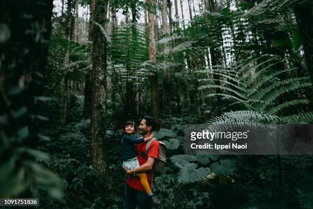 father and child having fun time in jungle, taiwan - asian family traveling stock pictures, royalty-free photos & images
