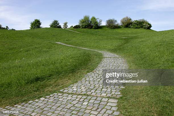 cobbled stone path on a slope - cobblestone 個照片及圖片檔