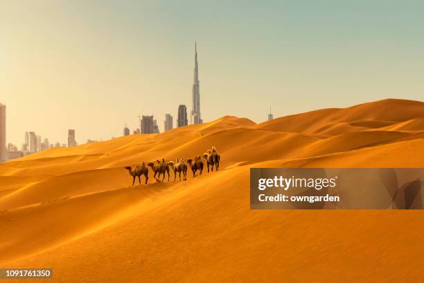 looking along desert towards the business district - dubai stockfoto's en -beelden