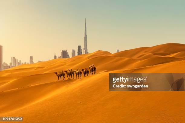 looking along desert towards the business district - dubai stock pictures, royalty-free photos & images