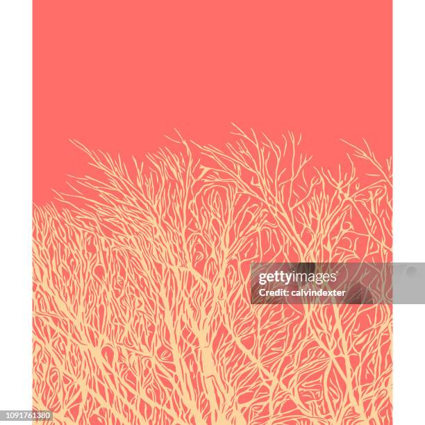tree silhouette - maple tree in winter stock illustrations