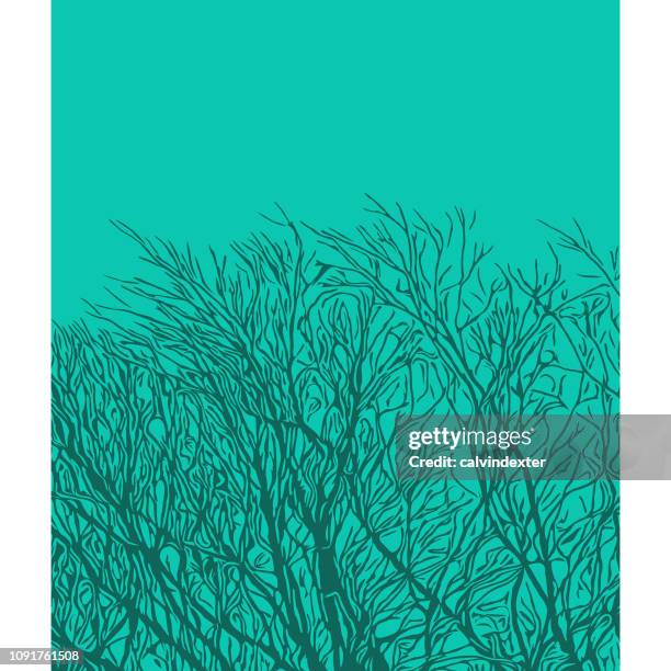 tree silhouette - maple tree in winter stock illustrations