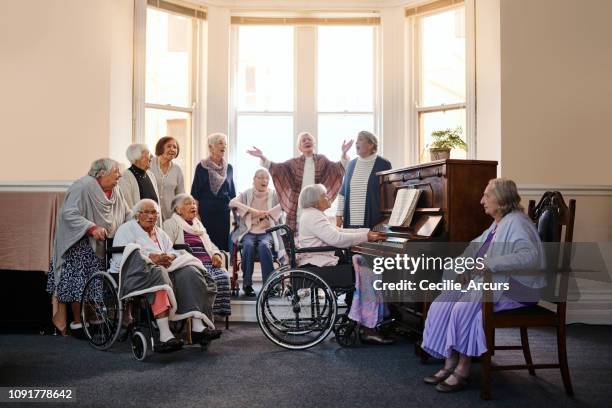 klassische musik für klassische damen - playing music together stock-fotos und bilder