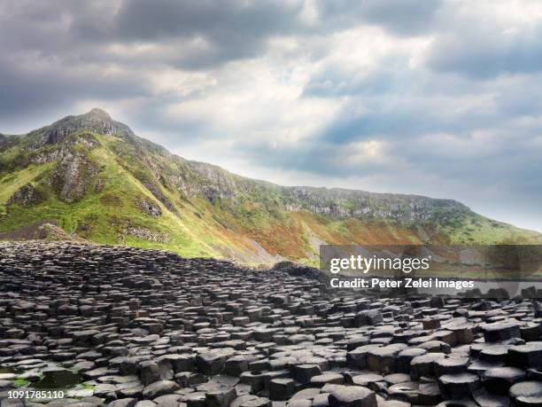 giant's causeway in northern ireland - bushmills stock pictures, royalty-free photos & images