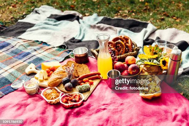 picnic at park - picnic blanket stock pictures, royalty-free photos & images