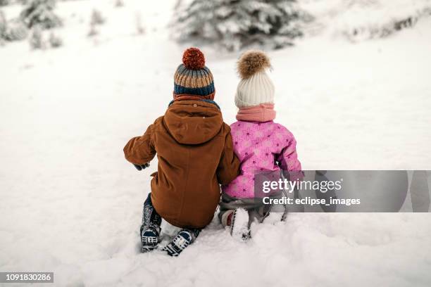 brother and sister in winter idyll - sister stock pictures, royalty-free photos & images