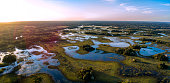 Pantanal photographed in Corumbá, Mato Grosso do Sul. Pantanal Biome, Brazil.