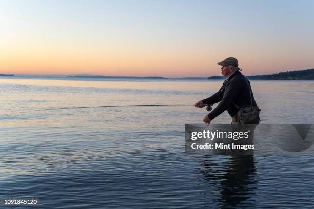 a side view of a fly fisherman at sunrise casting for salmon and searun coastal cutthroat trout from a salt water beach at a beach on the north west coastline of the usa. - north pacific stock pictures, royalty-free photos & images