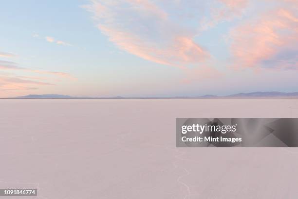 salt flats at dawn under a cloudy sky - horizon over land stockfoto's en -beelden