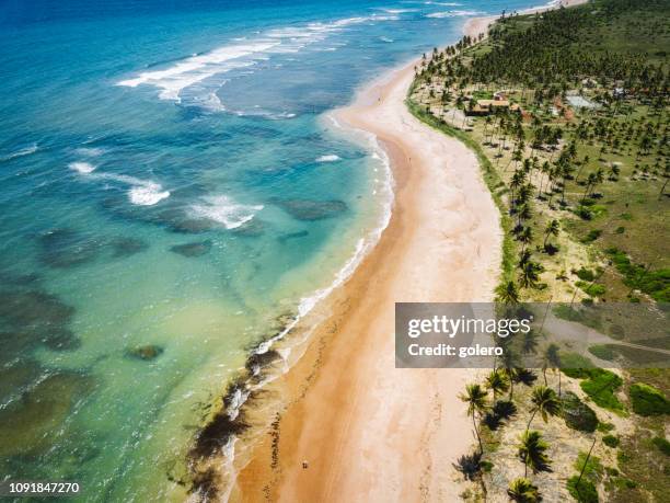 drone view on coastline with palm beach in bahia, brazil - north east stock pictures, royalty-free photos & images