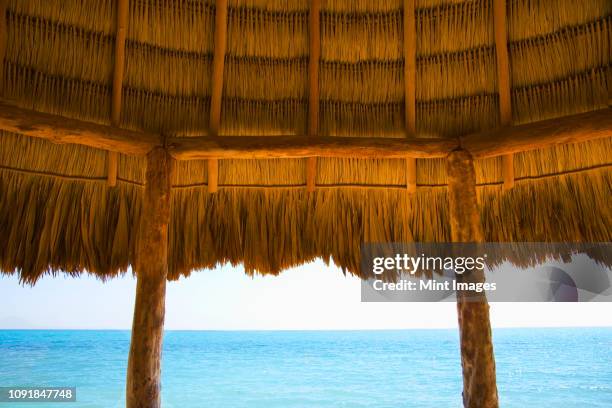a typical thatched roof cabana on an ocean beach in the caribbean - strandhütte stock-fotos und bilder