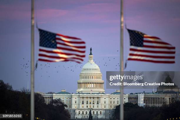 the u.s. capitol is seen through american flags flying at half staff - half mast stock pictures, royalty-free photos & images