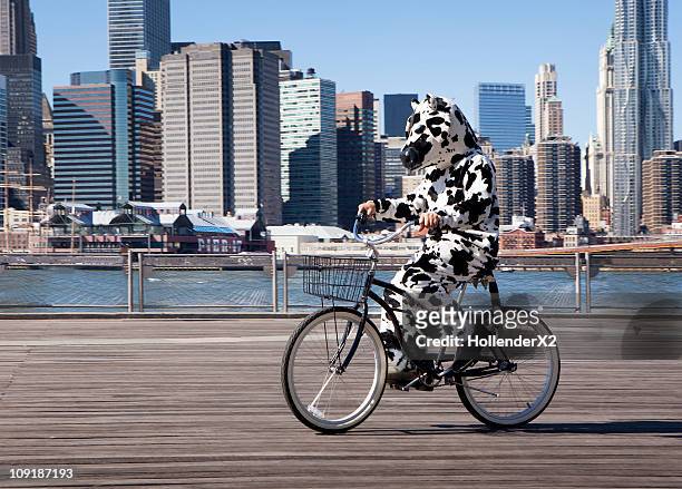 person in cow costume on bike with city - offbeat stockfoto's en -beelden