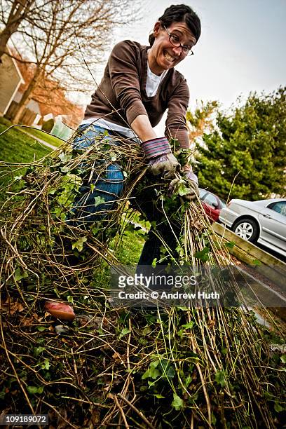 woman humorously struggling to pull weeds - rensa ogräs bildbanksfoton och bilder