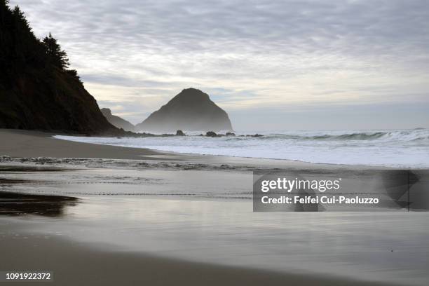 arizona beach state recreation site, oregon, usa - oregon v arizona stock pictures, royalty-free photos & images