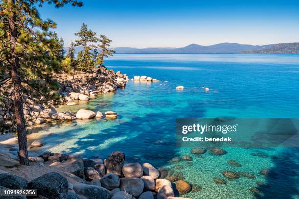 beach at lake tahoe sand harbor nevada usa - lake tahoe stock pictures, royalty-free photos & images