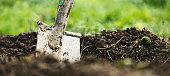 Header, garden shovel or spade puts into soil, green meadow in the back, low angle shot
