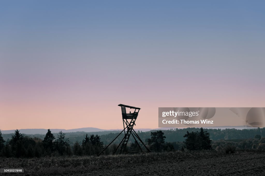 Hunting blind and hawk