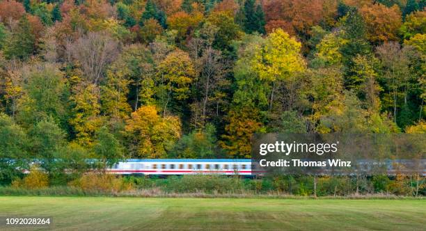 train travelling through a forest and field - germany train stock pictures, royalty-free photos & images