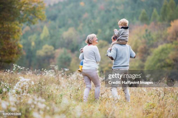 a rear view of senior grandparents walking outdoors with toddler grandchildren in nature, talking. - piggyback stock pictures, royalty-free photos & images