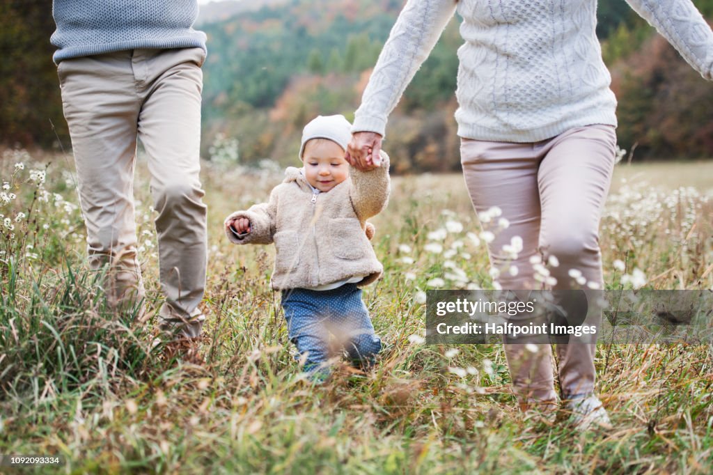 Unrecognizable grandparents walking outdoors with toddler granddaughter in nature, holding hands.