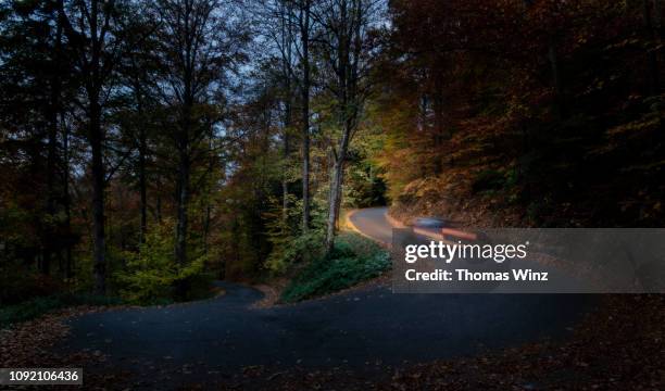 car at night in a forest - dark country road stock pictures, royalty-free photos & images
