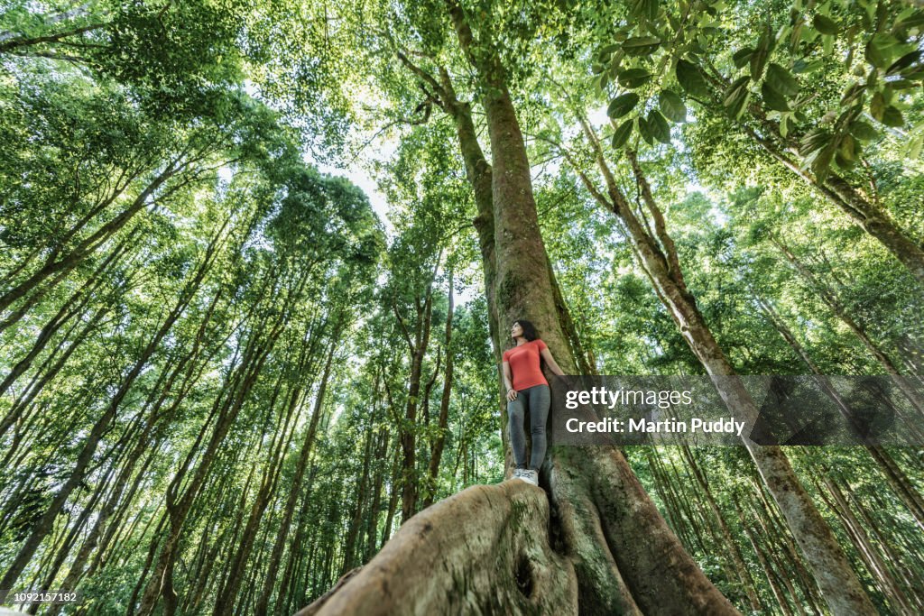 Young Asian woman standing on tropical in tropical rainforest setting