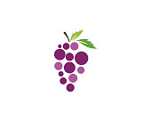 Grapes vector icon illustration design