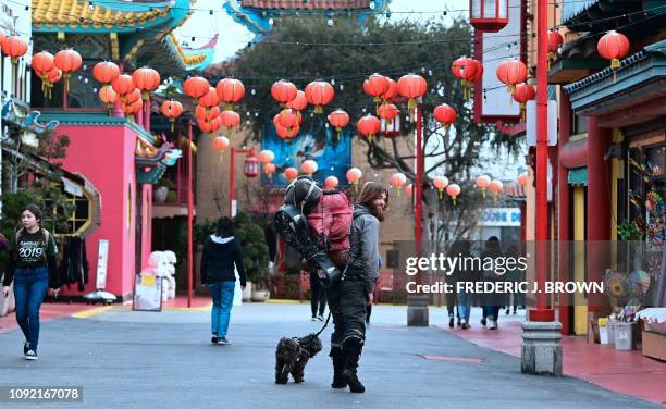 Self-described homeless nomad Justice Aguirre from Montana, carries his belongings on his back while walking his dog Ebony through a Chinatwon plaza...