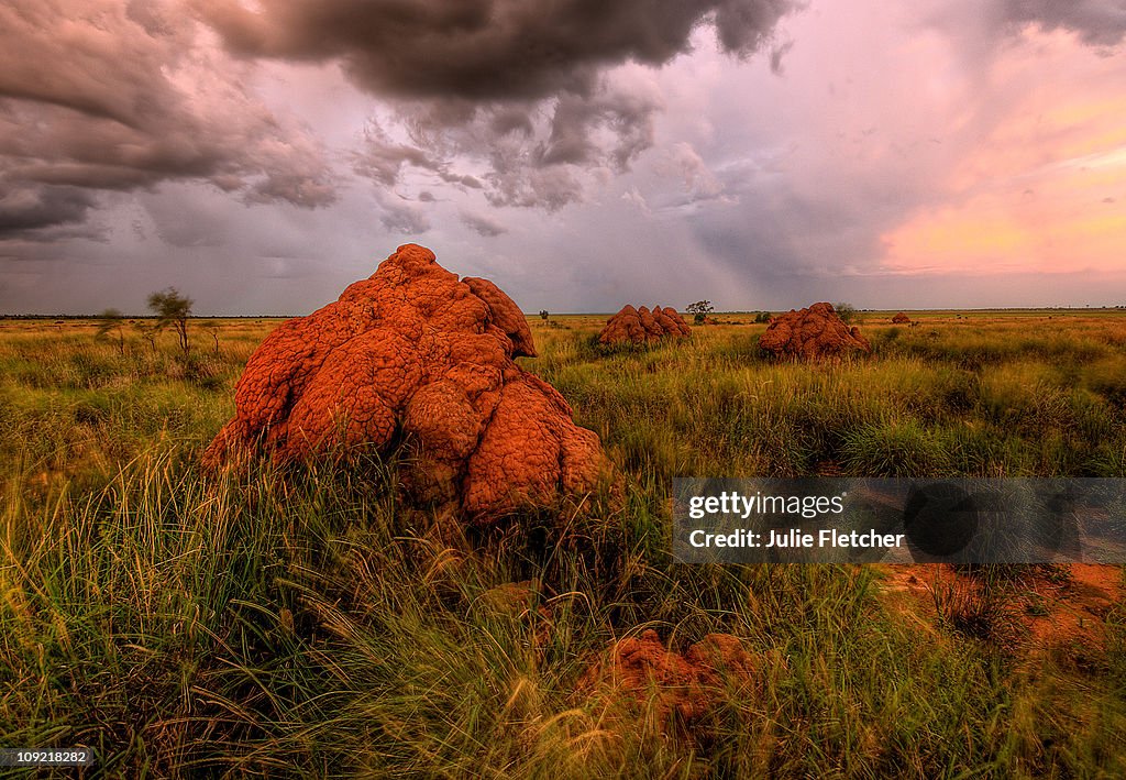Giant termite Mounds Fitzroy Crossing WA