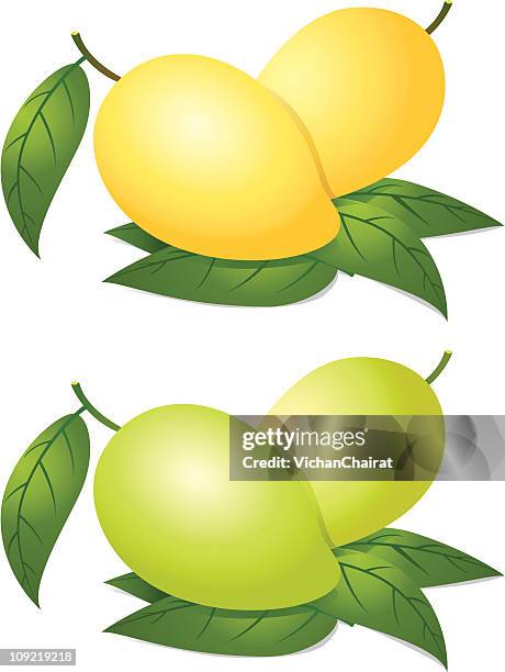 562 Ilustraciones de Mango Fruta Tropical - Getty Images 562 Ilustraciones de Mango Fruta Tropical - Getty Images