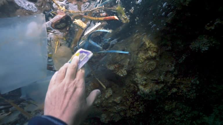 Removing Pollution 558 Microplastic Pollution Ocean Stock Videos, Footage, & 4K Video ...