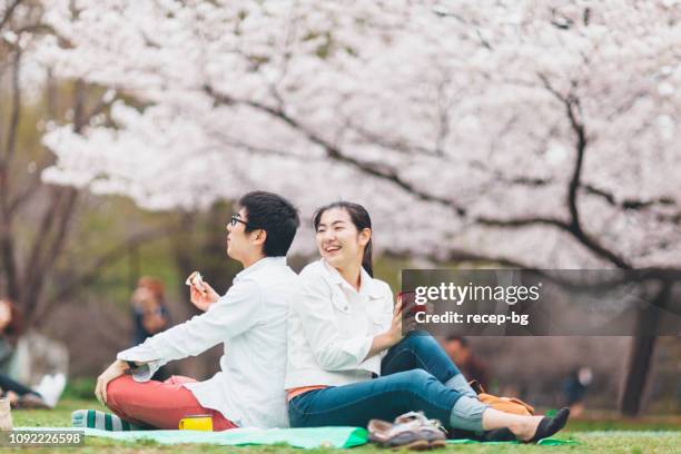 volgens paar hebben picnic in het voorjaar - hanami stockfoto's en -beelden