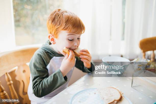 kleiner junge ein sandwich zu essen - jause stock-fotos und bilder