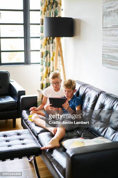 two boys looking at an spot tougher on the sofa in the summer sunshine - saltdean stock pictures, royalty-free photos & images