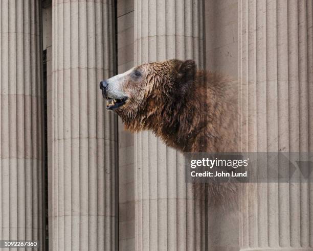 a bear market - börsenbaisse stock-fotos und bilder