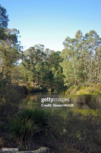 11 Wingecarribee River Stock Photos, HighRes Pictures, and Images