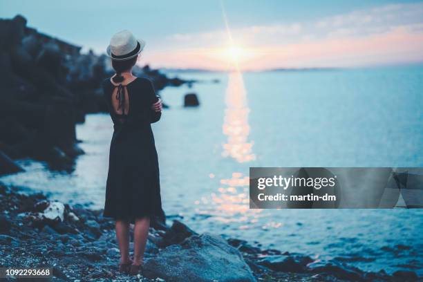 zomer zonsondergang - staring stockfoto's en -beelden