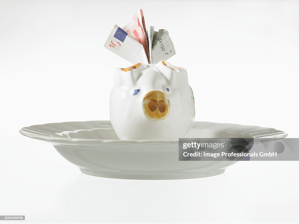 Piggy bank with bank notes in dish