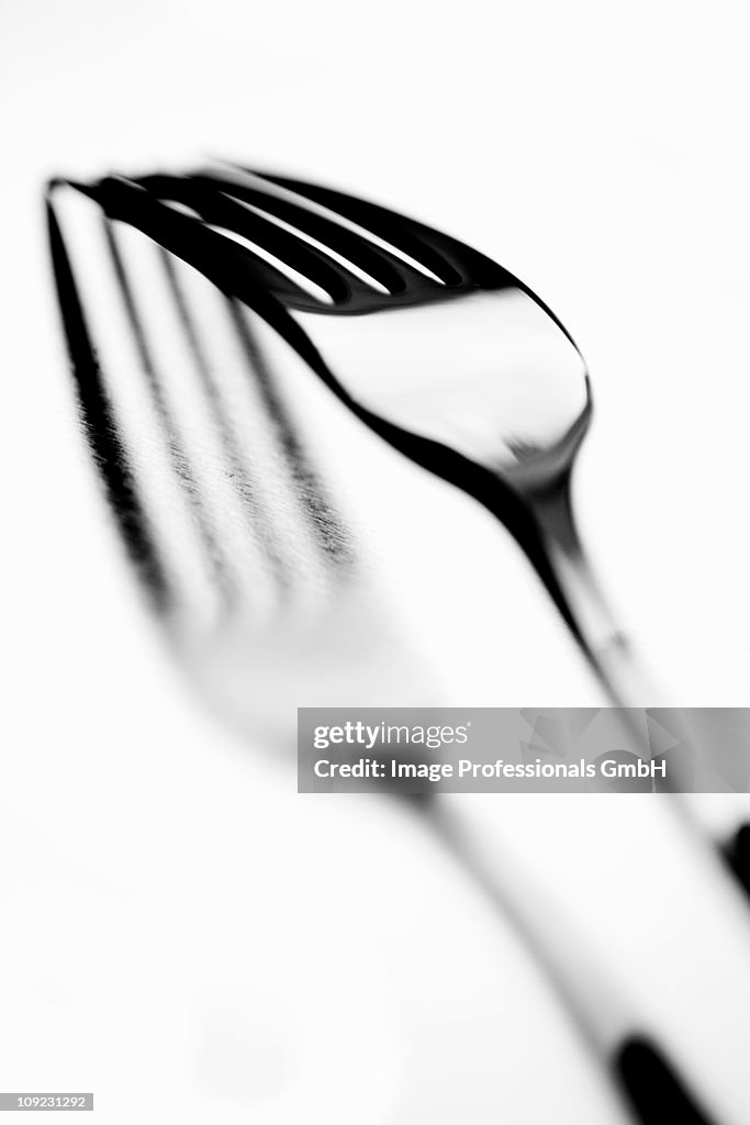 Fork with shadow, close-up