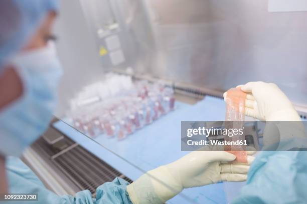 scientist processing skin graft in laboratory - skin graft 個照片及圖片檔